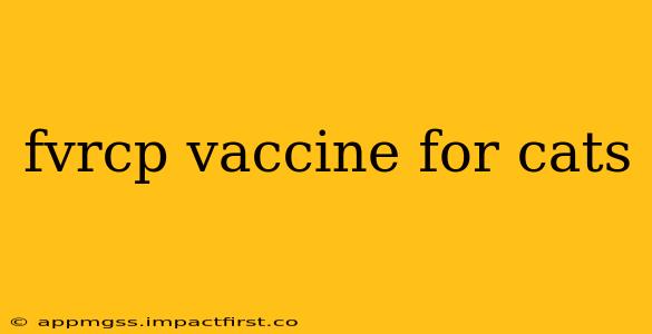 fvrcp vaccine for cats