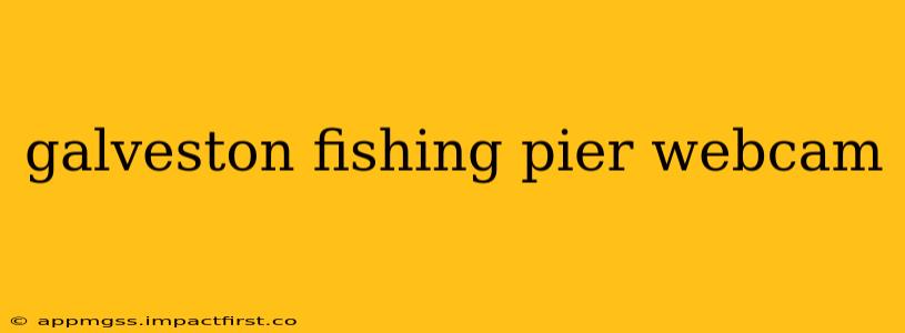 galveston fishing pier webcam