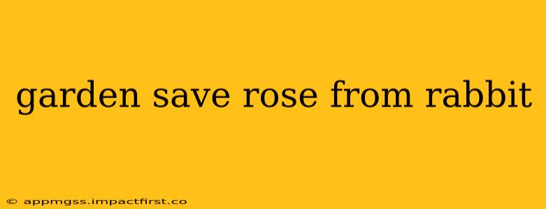 garden save rose from rabbit
