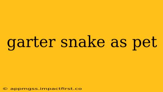 garter snake as pet