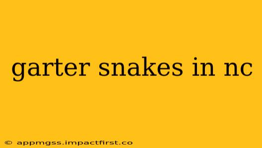 garter snakes in nc