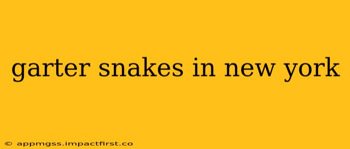 garter snakes in new york