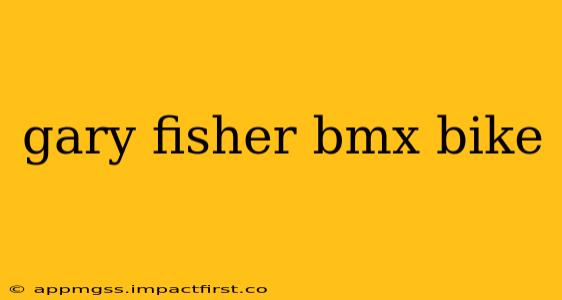 gary fisher bmx bike