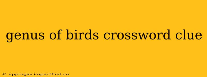 genus of birds crossword clue