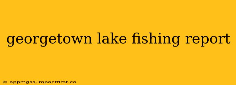 georgetown lake fishing report