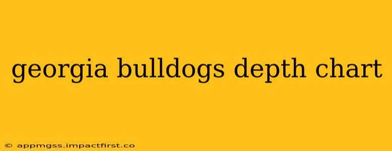 georgia bulldogs depth chart