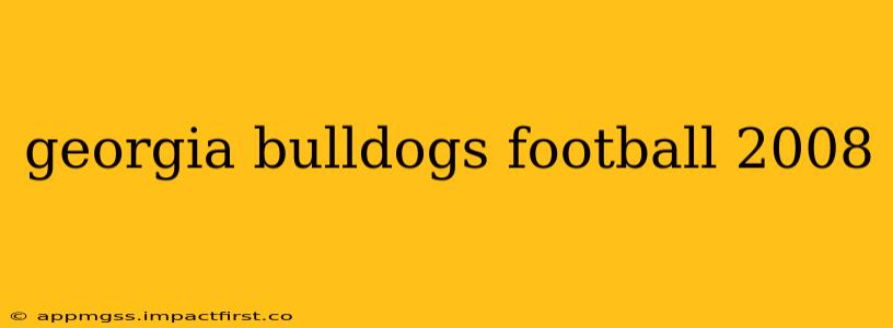 georgia bulldogs football 2008