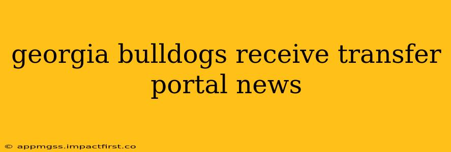 georgia bulldogs receive transfer portal news