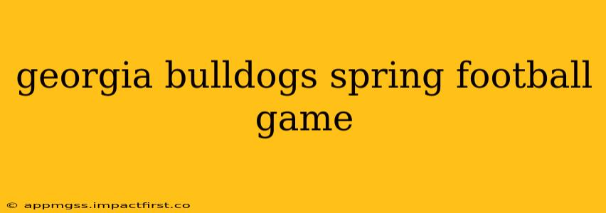 georgia bulldogs spring football game