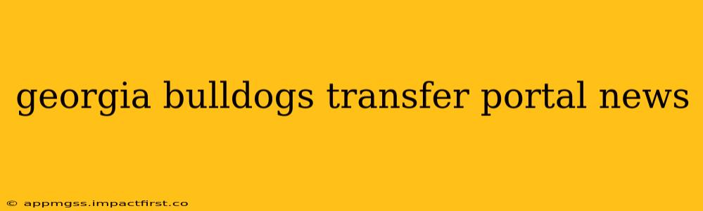 georgia bulldogs transfer portal news