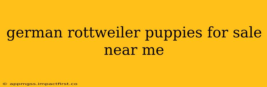 german rottweiler puppies for sale near me