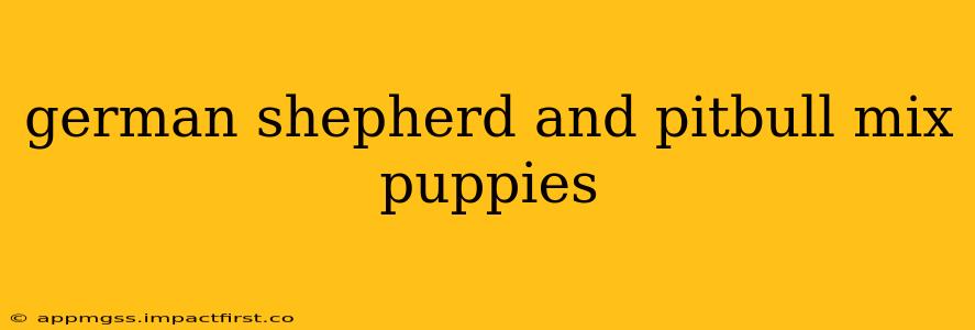 german shepherd and pitbull mix puppies