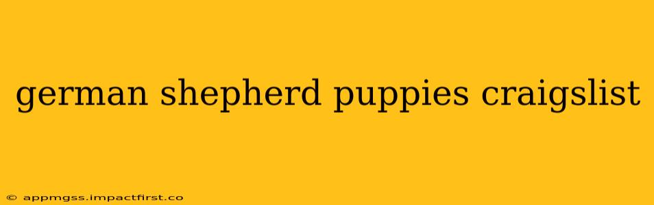 german shepherd puppies craigslist