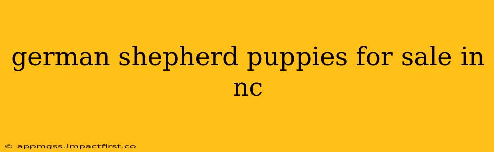 german shepherd puppies for sale in nc