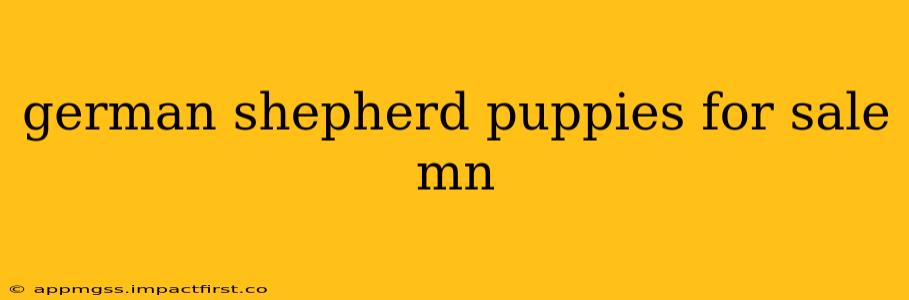 german shepherd puppies for sale mn