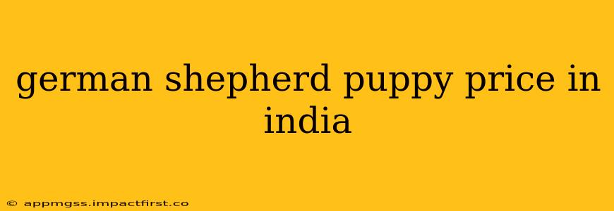 german shepherd puppy price in india