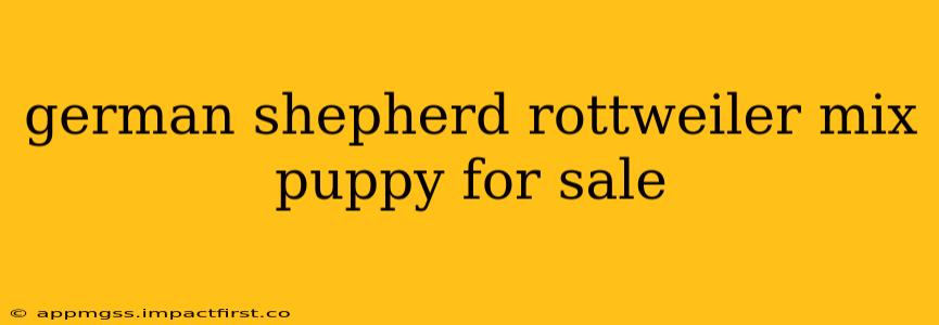 german shepherd rottweiler mix puppy for sale