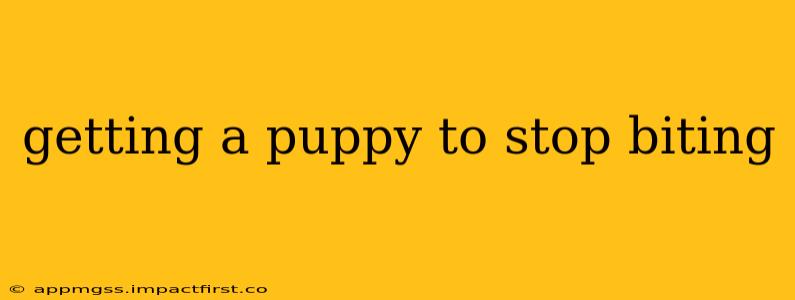 getting a puppy to stop biting