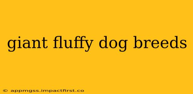 giant fluffy dog breeds