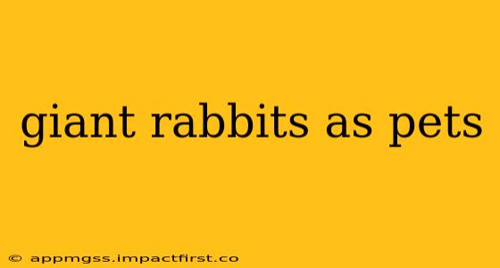 giant rabbits as pets