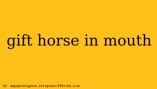 gift horse in mouth