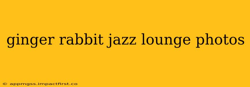 ginger rabbit jazz lounge photos