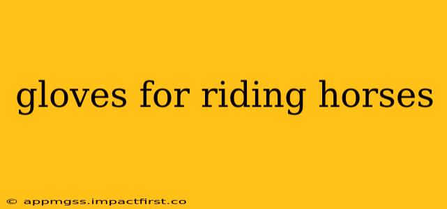 gloves for riding horses