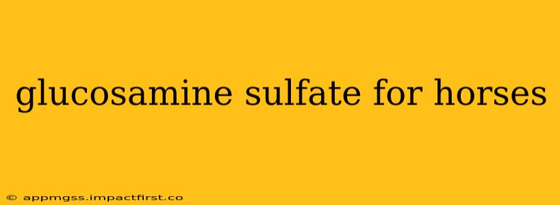 glucosamine sulfate for horses