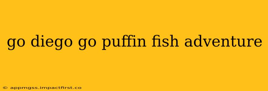 go diego go puffin fish adventure