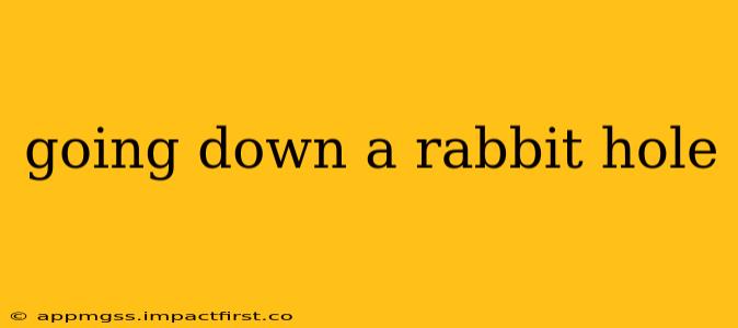 going down a rabbit hole