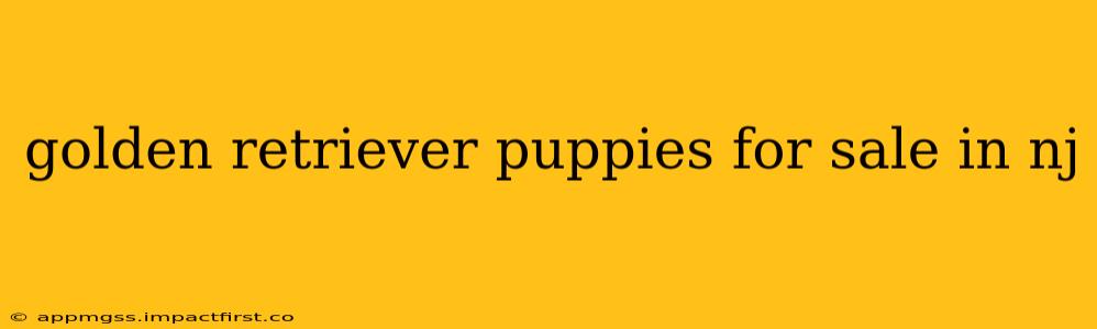 golden retriever puppies for sale in nj