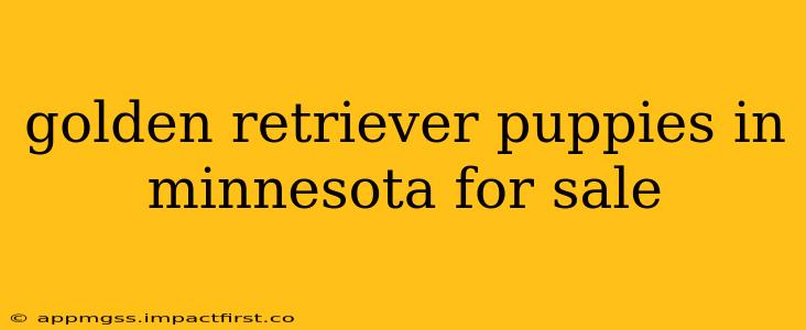 golden retriever puppies in minnesota for sale