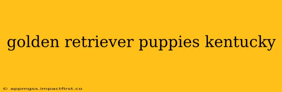 golden retriever puppies kentucky