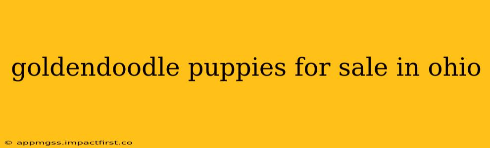 goldendoodle puppies for sale in ohio