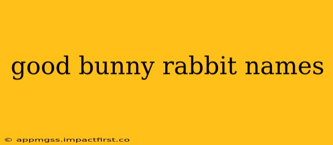 good bunny rabbit names