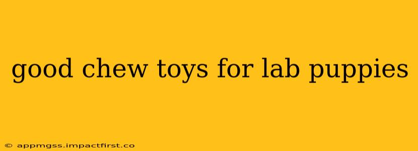 good chew toys for lab puppies