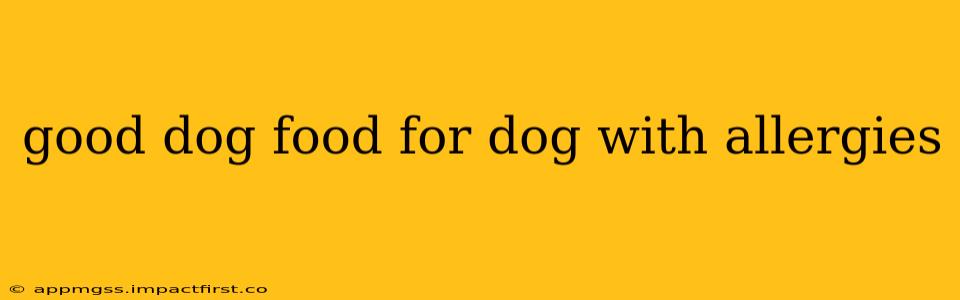 good dog food for dog with allergies
