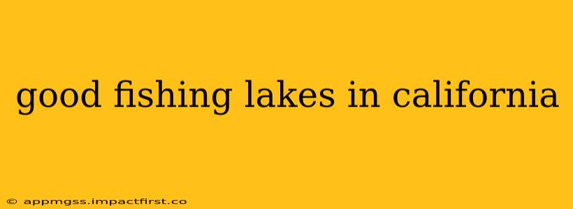 good fishing lakes in california