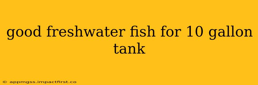 good freshwater fish for 10 gallon tank