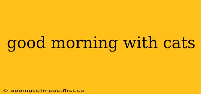good morning with cats