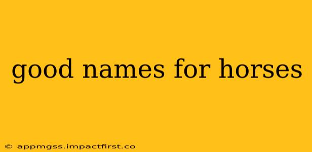 good names for horses