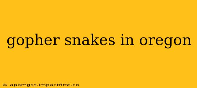 gopher snakes in oregon