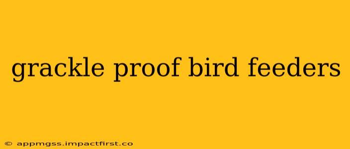 grackle proof bird feeders