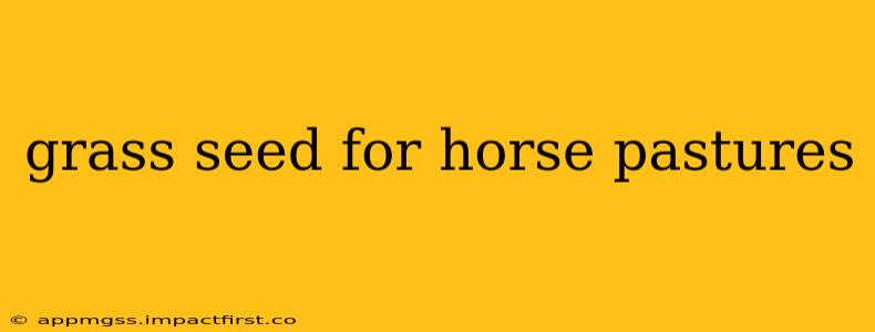 grass seed for horse pastures