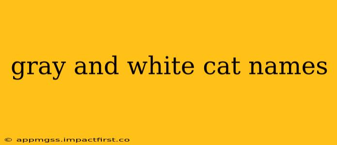 gray and white cat names