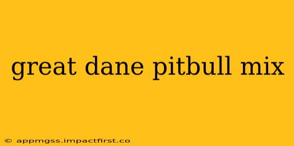 great dane pitbull mix