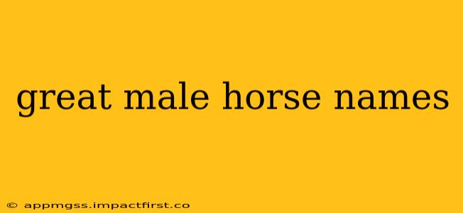 great male horse names