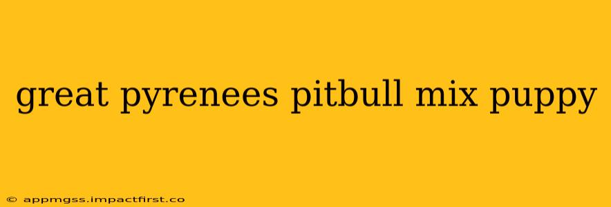 great pyrenees pitbull mix puppy
