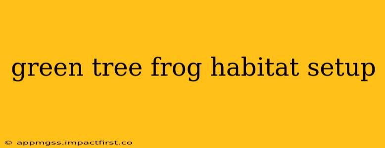 green tree frog habitat setup