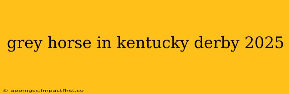 grey horse in kentucky derby 2025